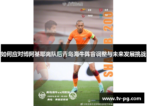 如何应对博阿基耶离队后青岛海牛阵容调整与未来发展挑战