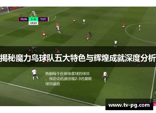揭秘魔力鸟球队五大特色与辉煌成就深度分析