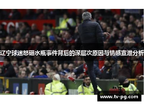 辽宁球迷怒砸水瓶事件背后的深层次原因与情感宣泄分析