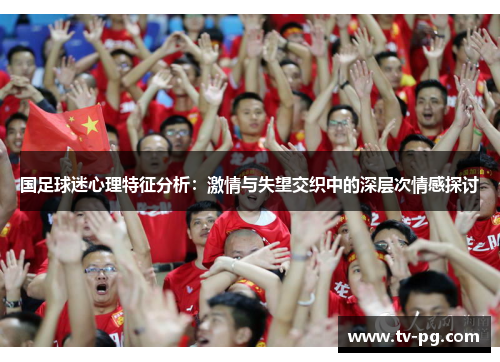 国足球迷心理特征分析：激情与失望交织中的深层次情感探讨