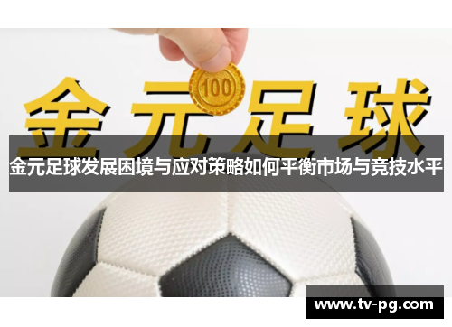 金元足球发展困境与应对策略如何平衡市场与竞技水平