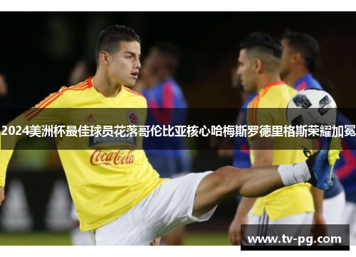 2024美洲杯最佳球员花落哥伦比亚核心哈梅斯罗德里格斯荣耀加冕